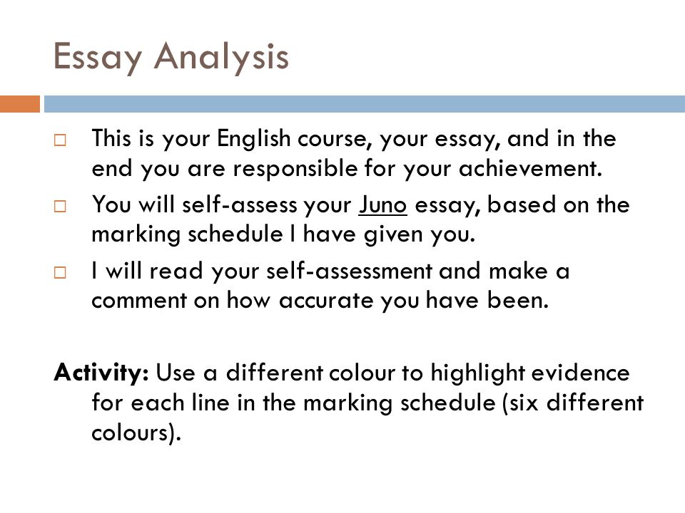 An Analysis the Differences Identity Essay